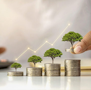 Investment loan for real estate opportunity