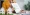 asian-businesswoman-discusses-home-purchase-contra-2024-06-12-18-56-17-utc